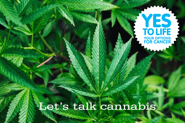 Let’s Talk Cannabis