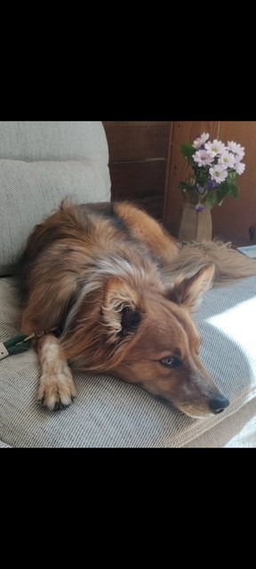 hero background image