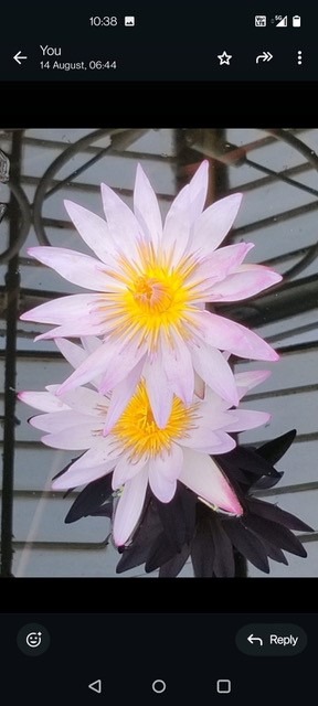 hero background image