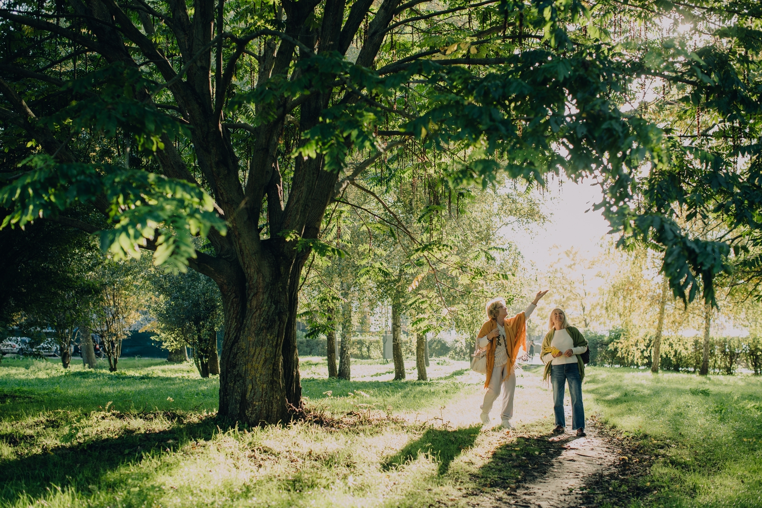 Two,Senior,Women,Enjoying,A,Leisurely,Walk,In,A,Sun-dappled
